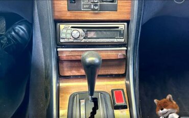 Mercedes-benz-sel-450-1978-12