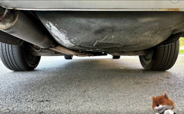 Mercedes-benz-sel-450-1978-18