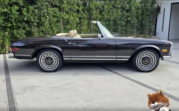 Mercedes-benz-sl280-w113-1969-29