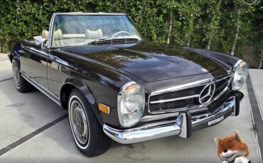 Mercedes-benz-sl280-w113-1969-31