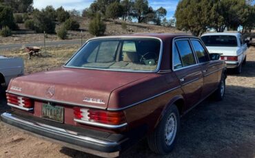 Mercedes-diesel-1981-1