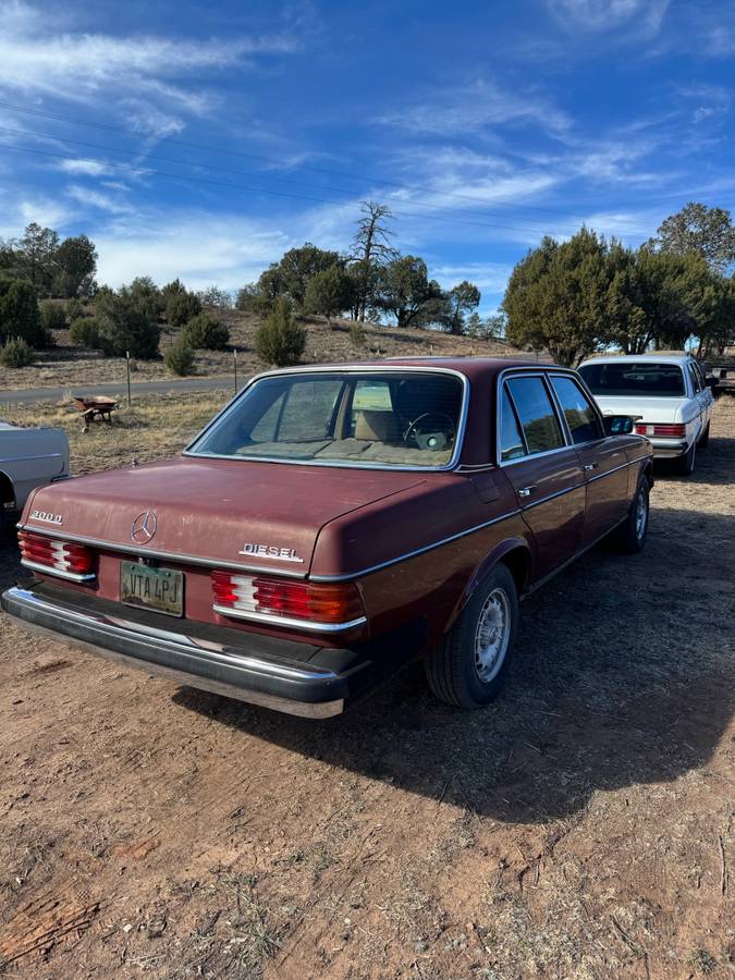 Mercedes-diesel-1981-1