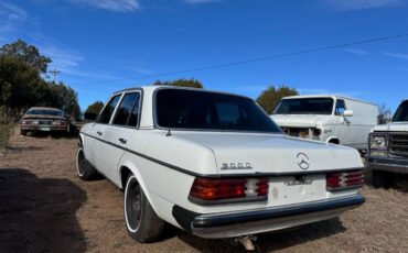 Mercedes-diesel-1981-10