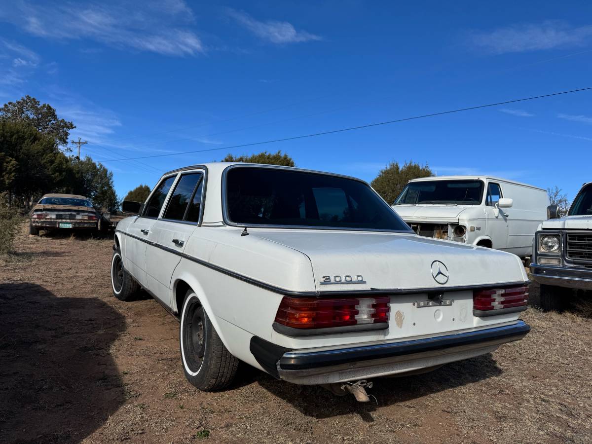 Mercedes-diesel-1981-10