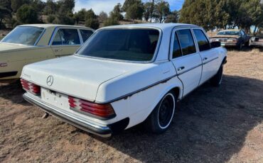 Mercedes-diesel-1981-3