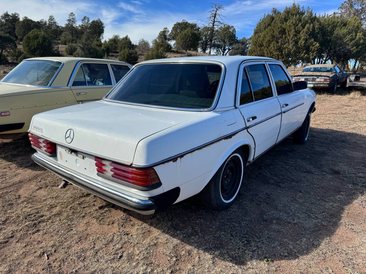 Mercedes-diesel-1981-3