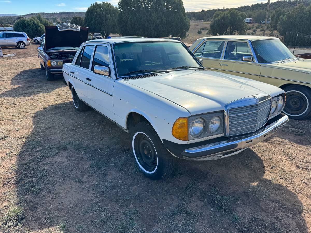 Mercedes-diesel-1981-4