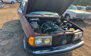 Mercedes-diesel-1981-5