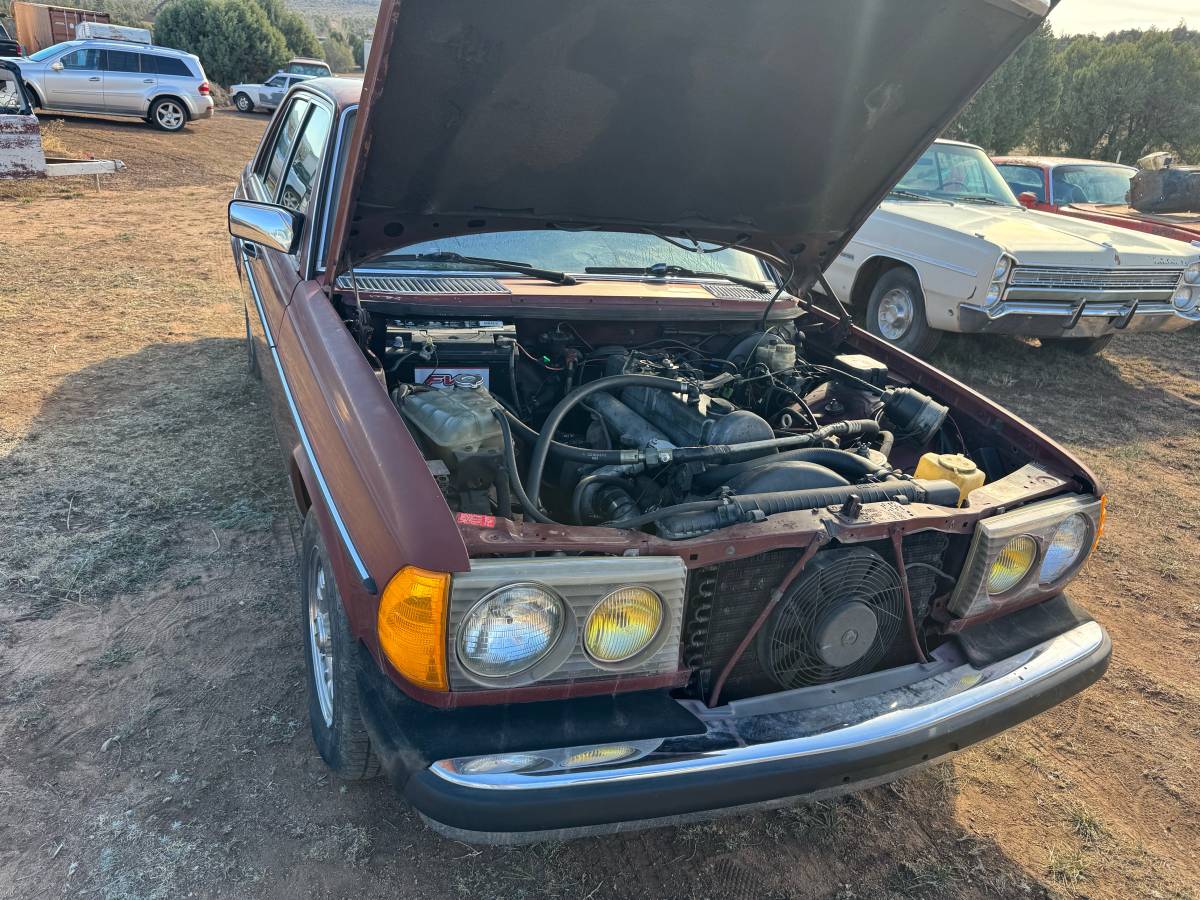 Mercedes-diesel-1981-5