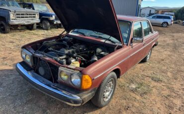 Mercedes-diesel-1981-6