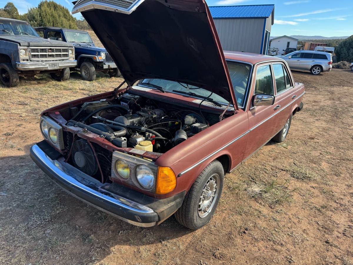 Mercedes-diesel-1981-6