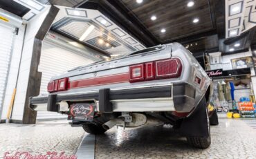 Mercury-Bobcat-1980-18