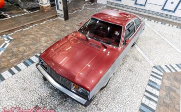 Mercury-Bobcat-1980-2