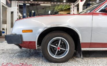 Mercury-Bobcat-1980-3