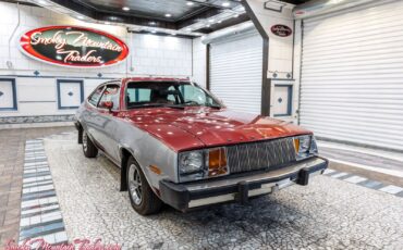 Mercury-Bobcat-1980-8