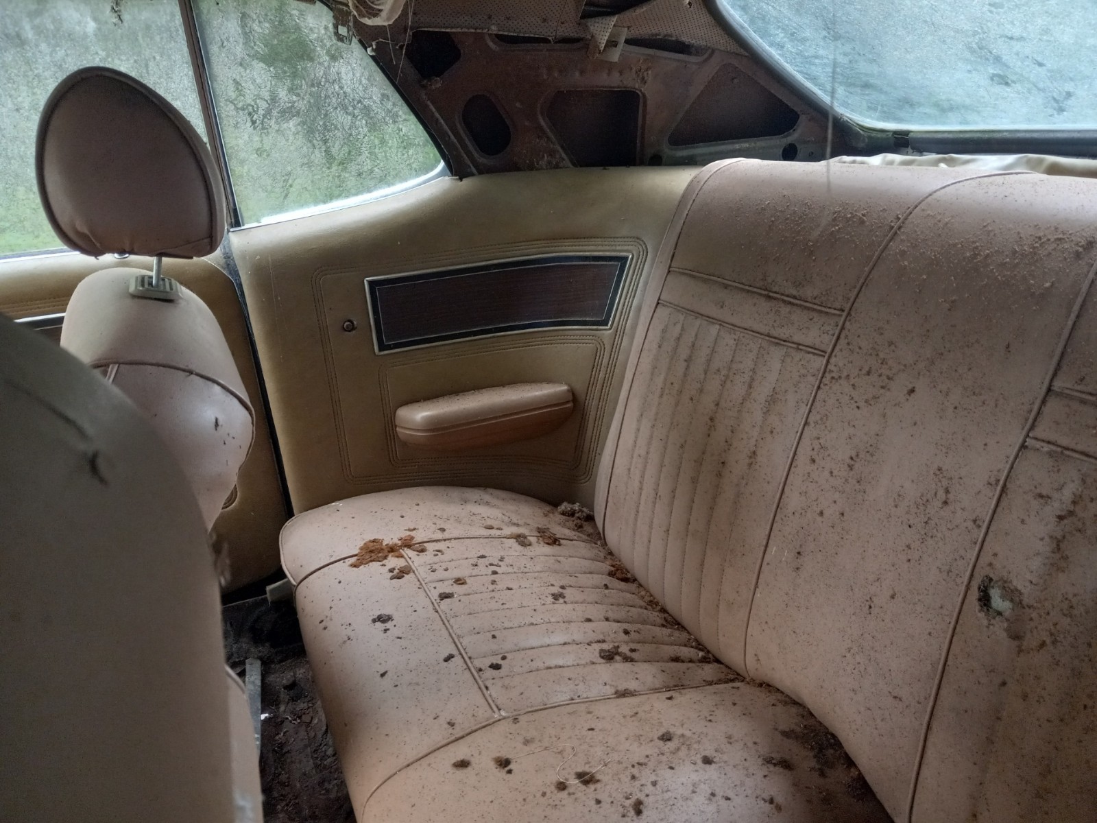 Mercury-Cougar-1969-Coupe-14