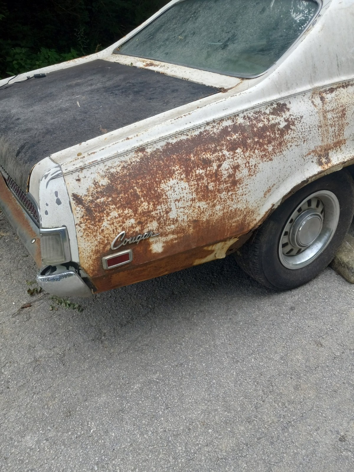 Mercury-Cougar-1969-Coupe-5