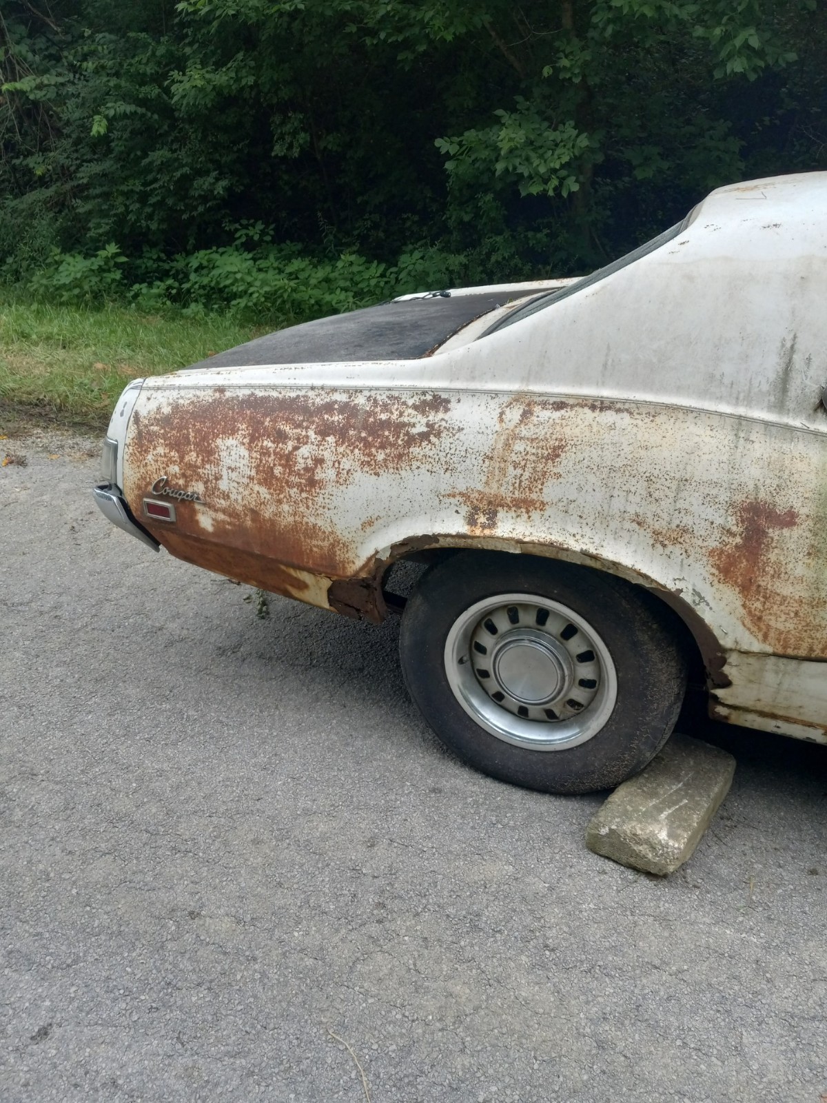 Mercury-Cougar-1969-Coupe-6