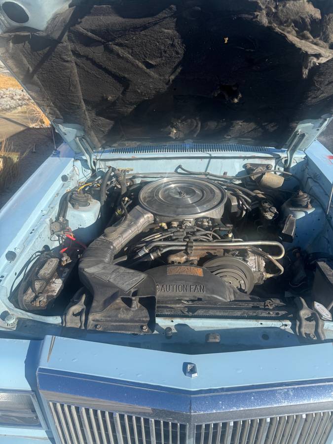 Mercury-cougar-1981-blue-6