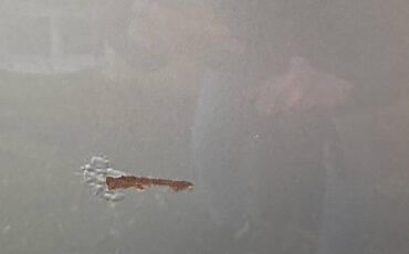 Mercury-grand-marquis-1989-silver-17