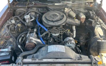 Mercury-grand-marquis-ls-1984-17