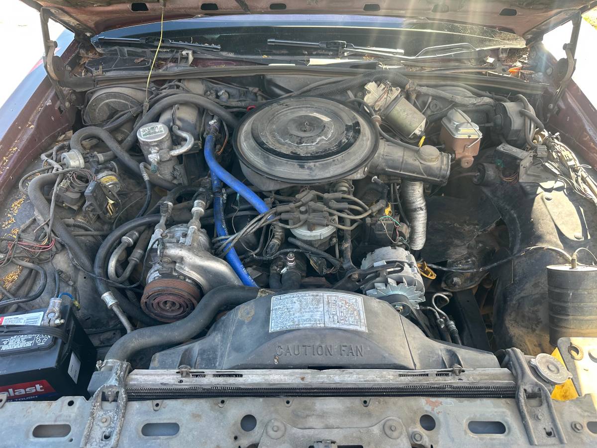 Mercury-grand-marquis-ls-1984-17