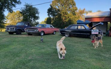 Mercury-marauder-1964-7