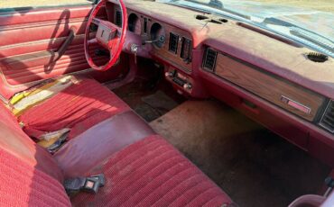 Mercury-zephyr-1981-custom-5