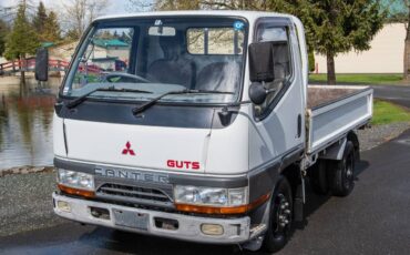 Mitsubishi-diesel-1996-white-1