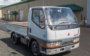 Mitsubishi-diesel-1996-white-19
