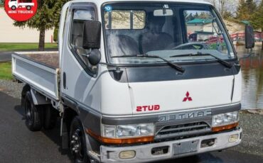 Mitsubishi-diesel-1996-white-28