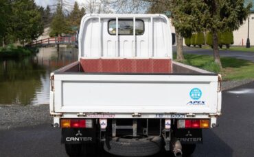 Mitsubishi-diesel-1996-white-29