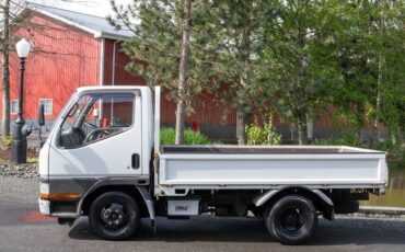 Mitsubishi-diesel-1996-white-30