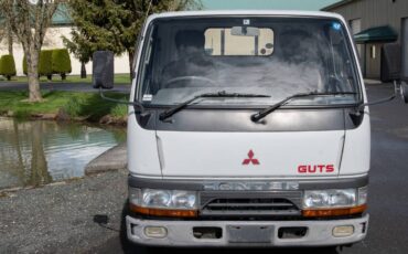 Mitsubishi-diesel-1996-white-53