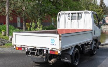 Mitsubishi-diesel-1996-white-84