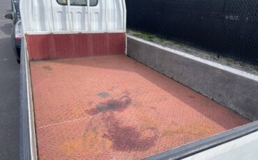 Mitsubishi-diesel-1996-white-86