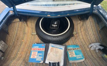 Monte-carlo-1976-blue-10