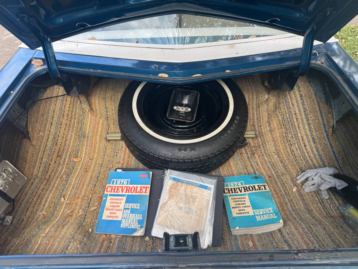 Monte-carlo-1976-blue-10