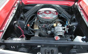 More-ads-by-this-seller-1965-red-1