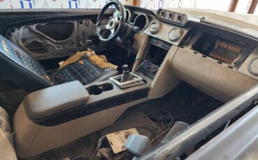 Mustang-eleanor-1968-grey-7