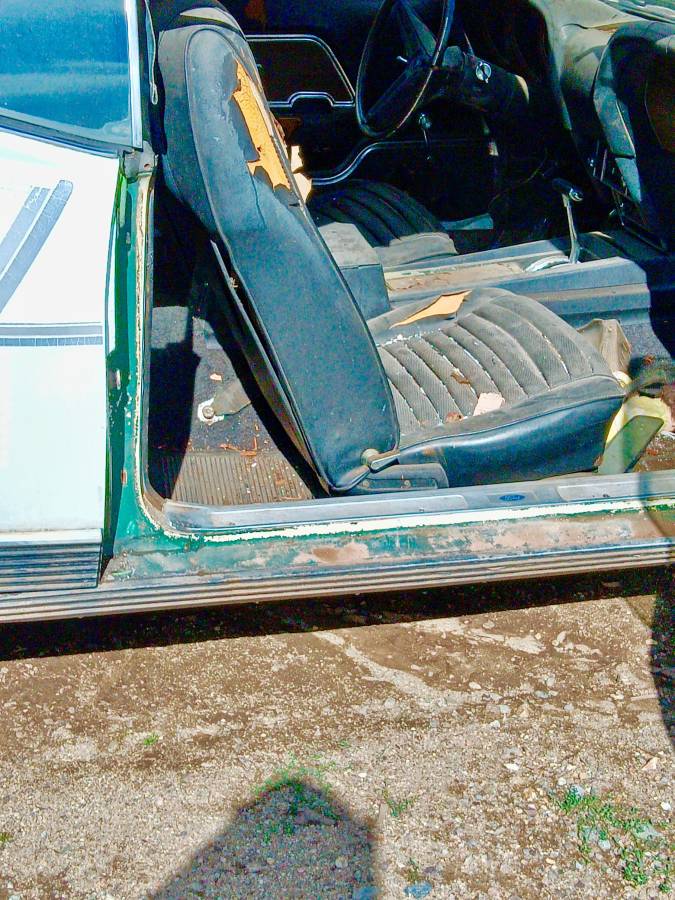 Mustang-mach-1-1970-white-3