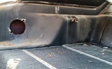 Mustang-mach-1-1970-white-8