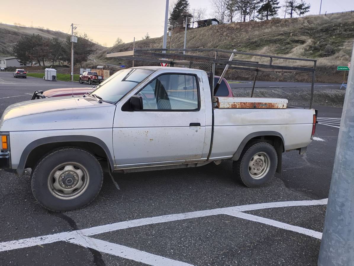 Nissan-d21-hardbody-1988-grey-3