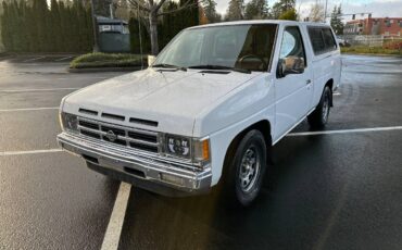 Nissan-hardbody-1991-5