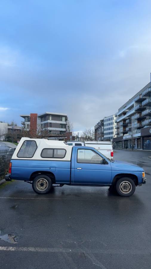 Nissan-hardbody-pickup-1991-blue-6