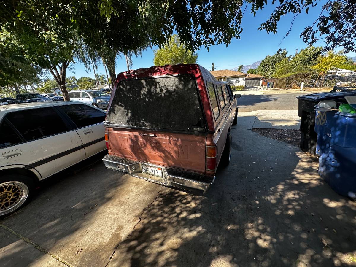 Nissan-hardbody-pickup-kingcab-1984-brown-9