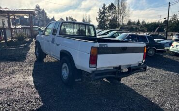Nissan-pickup-1991-white-3