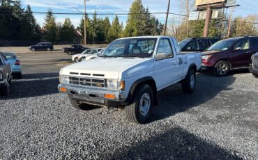 Nissan-pickup-1991-white-8