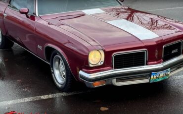 Oldsmobile-442-1974-13