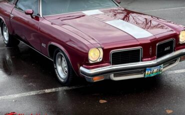 Oldsmobile-442-1974-14